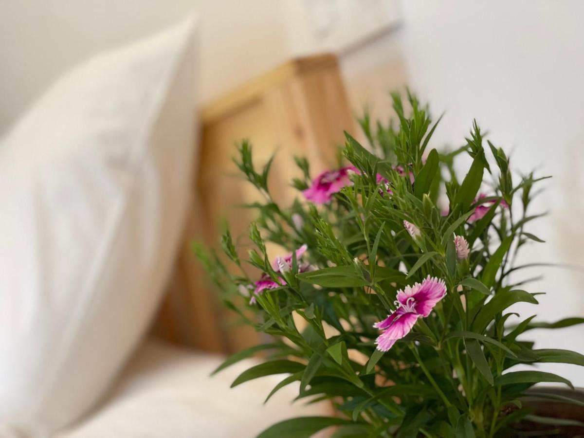 Pleiku Homestay Dış mekan fotoğraf